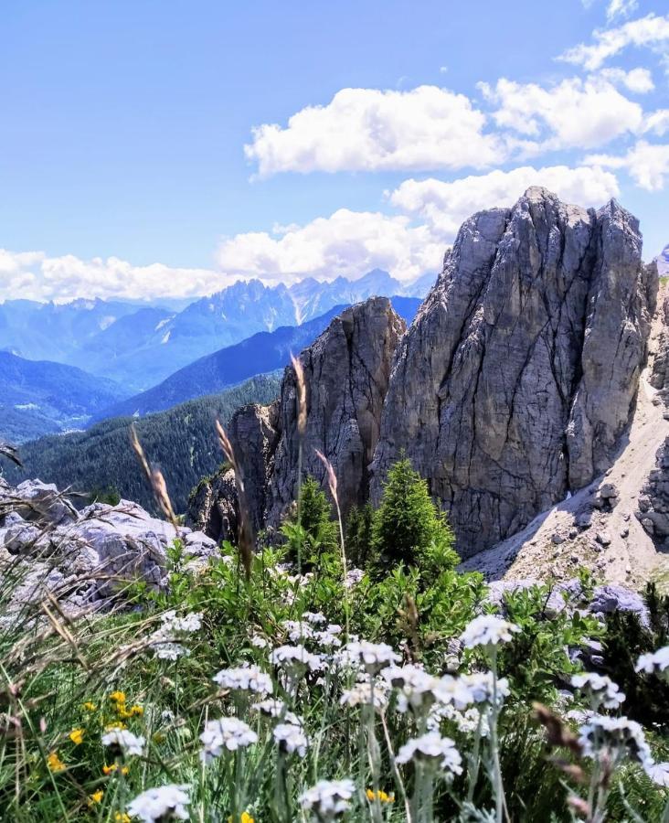 Camere Nordest Sudest- Conca Agordina Аґордо Екстер'єр фото
