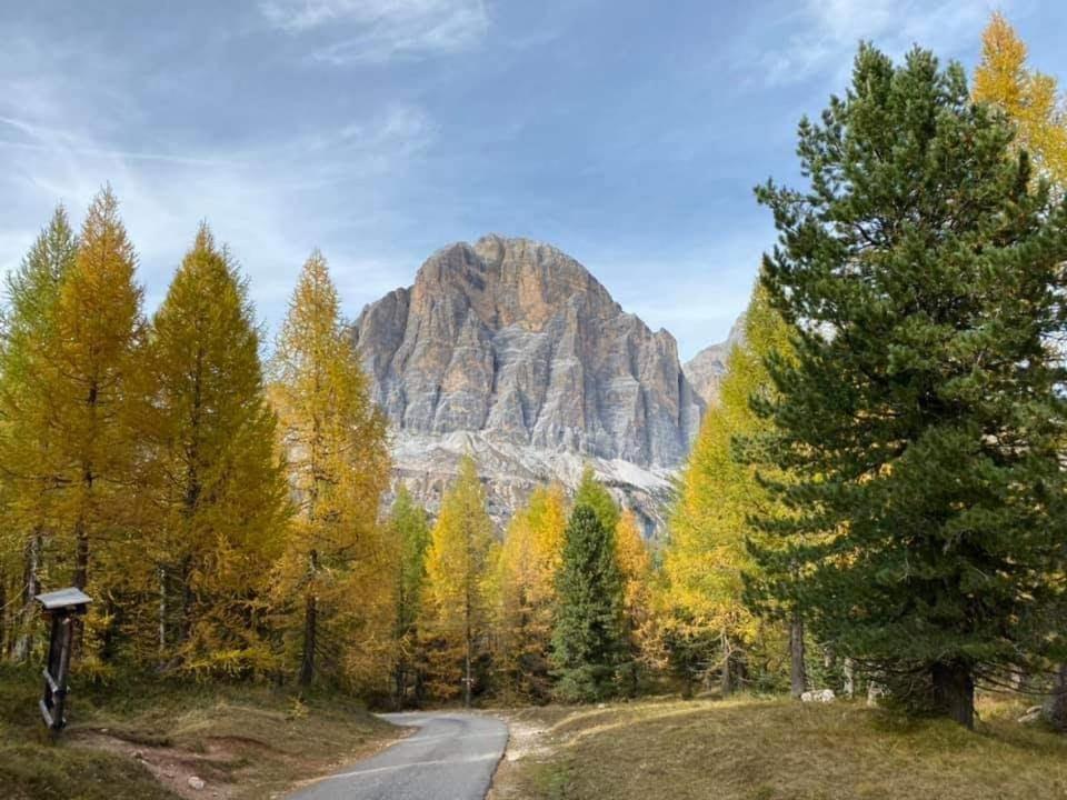 Camere Nordest Sudest- Conca Agordina Аґордо Екстер'єр фото