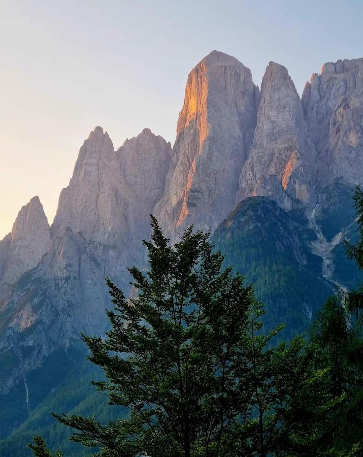 Camere Nordest Sudest- Conca Agordina Аґордо Екстер'єр фото