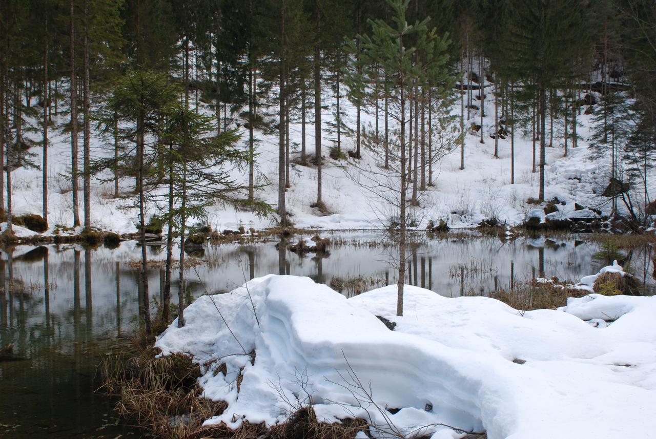 Camere Nordest Sudest- Conca Agordina Аґордо Екстер'єр фото