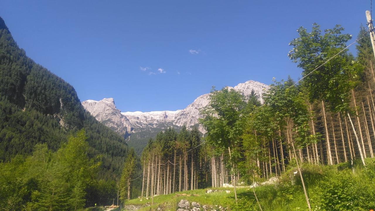 Camere Nordest Sudest- Conca Agordina Аґордо Екстер'єр фото